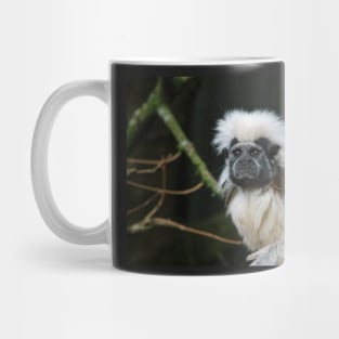 Cotton-Topped Tamarin Mug